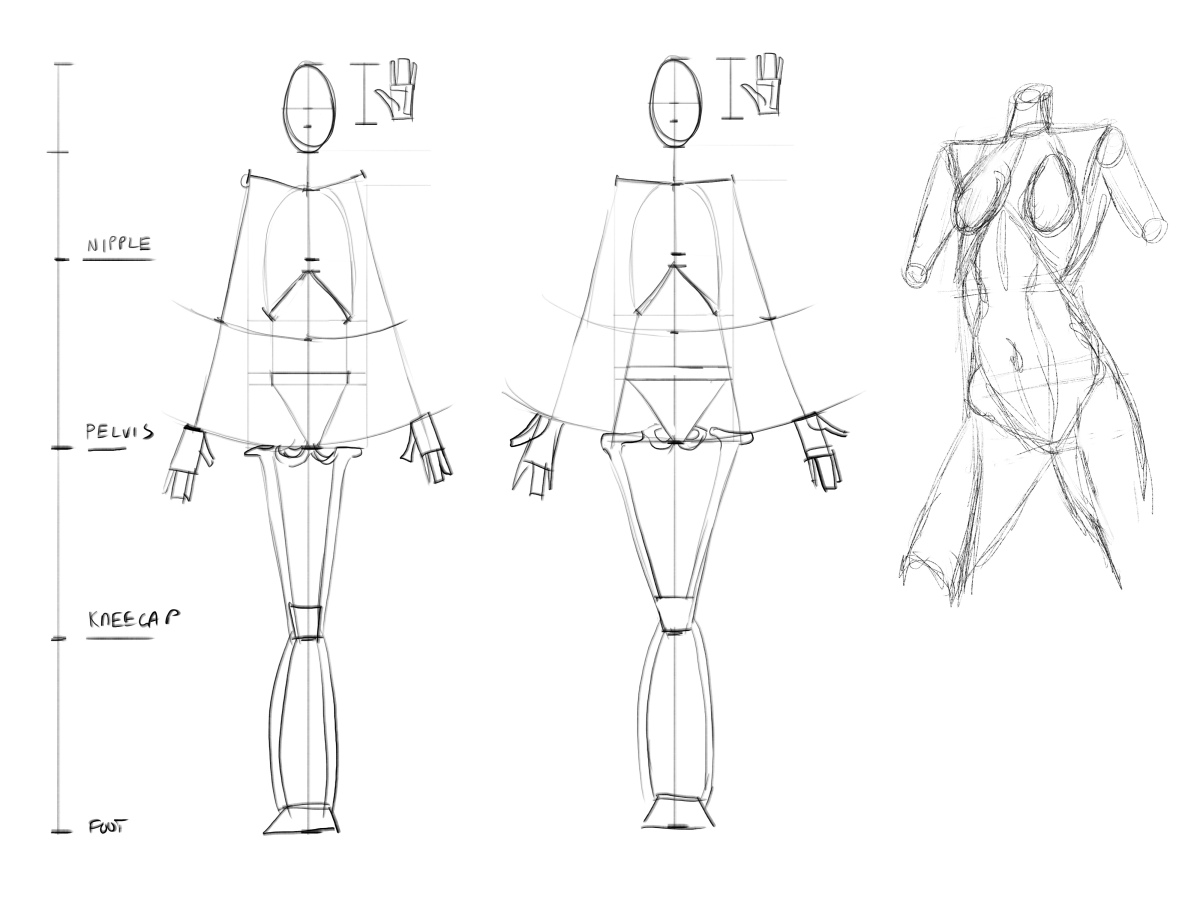 Anime Academy: Posterior View and Simple Proportions