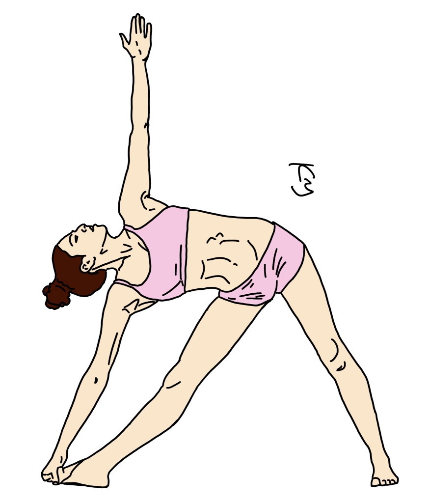 Line Art cartoon style drawing of a woman going yoga in triangle pose, trikonasana